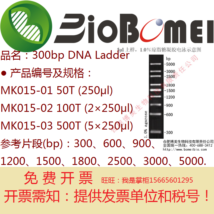 合肥博美生物300bp DNA Ladder实验室9条带状双链MK015marker含票