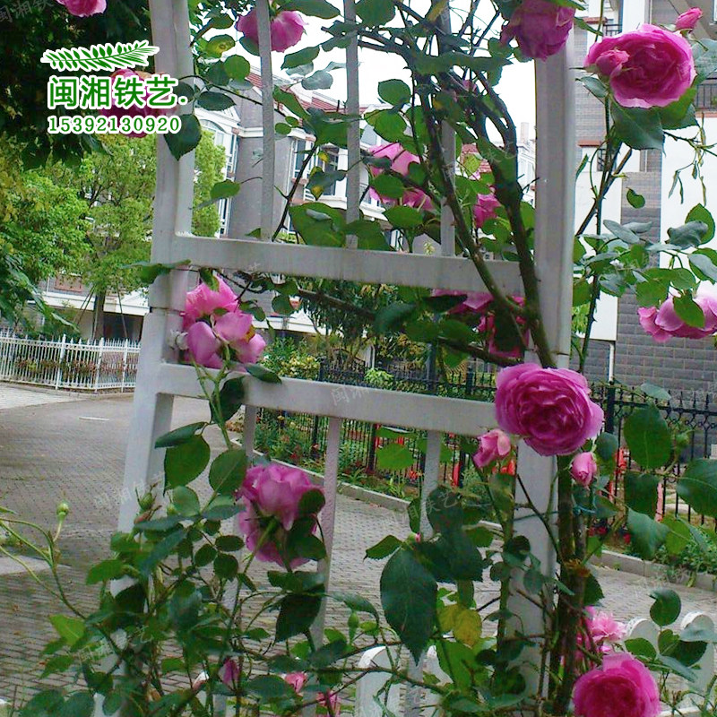 Flower arch flower stand Garden arch flower stand Wrought iron flower