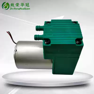 Micro air pump Negative pressure pump 12V small pumping air pump Gas analysis sampling diaphragm pump 24V micro vacuum pump