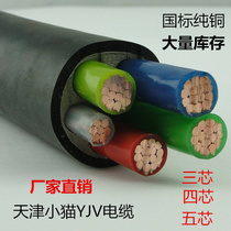 Tianjin Kitten YJV Cable 3 4 5 core 10 16 25 50 35 square copper core wire and cable 3 1 national standard