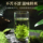 Mingqian Biluochun 2025 Новый чай Премиум-класса Green Tea Leaf Официальный флагманский магазин аутентичного чая mini 1