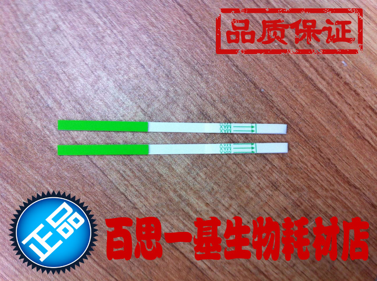 转基因CP4 EPSPS快速检测条（卡）