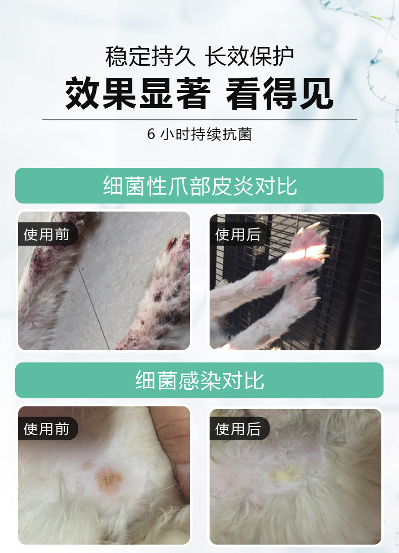 Tắm da thú cưng nhỏ Kang thuốc tắm da thú cưng bệnh nấm da chó diệt nấm ngoài mèo mèo vi khuẩn tắm - Cat / Dog Medical Supplies Xi lanh tiêm thú y