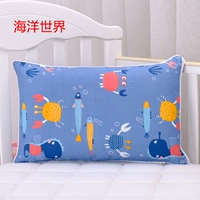 Один из океанского мира 29*45 Case, без подушки