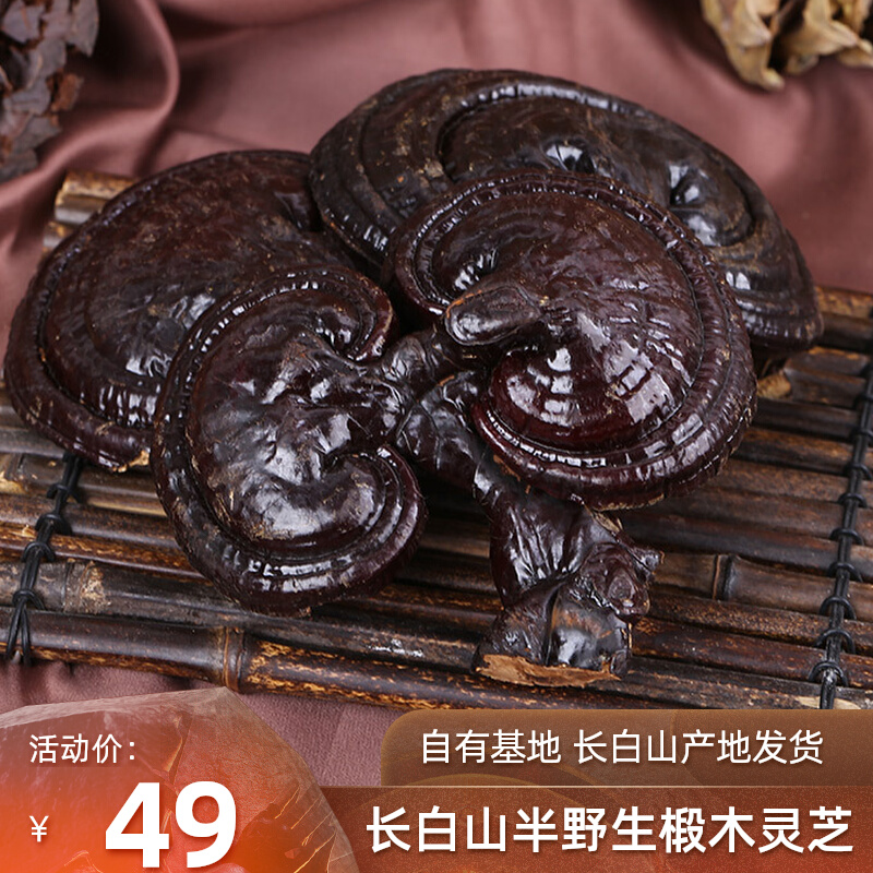 Changbai Mountain purple Linzhi semi - wild Linchi 500g whole branch of deep mountain grows and grows the white mountain Gangche