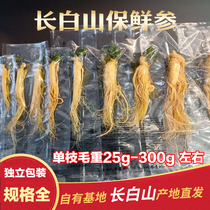 Northeast Changbai Mountain Ginseng wine medicinal herbs fresh-keeping ginseng fresh bagged wild ginseng whole branch slicing extra tea