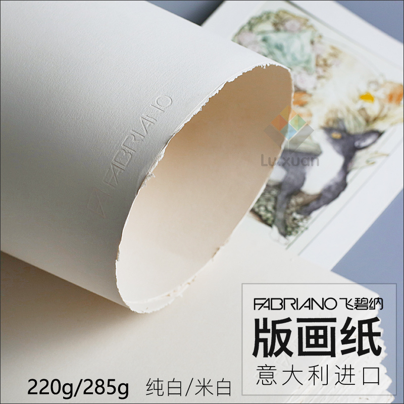 Italian Imported Feibina Printmaking Paper Cotton Pulp Color Powder Paper Sketch Paper 220G/285G/250G Off-White/Pure White Printmaking Paper 2K 4K 8K