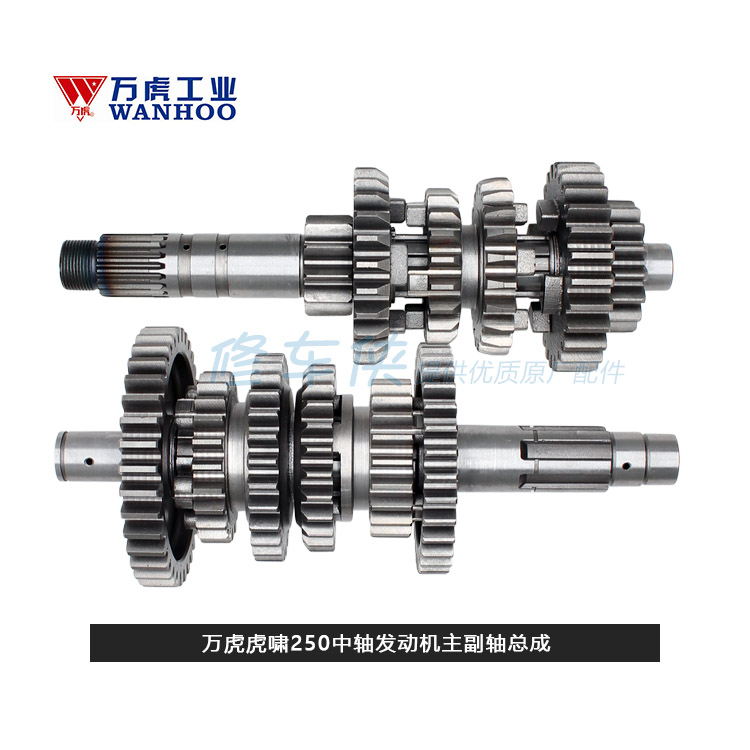 Three - wheel motorcycle tsunami 200 250 300 main side - axis gear assembly mid - axis engine