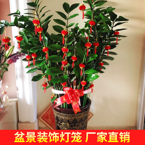 Small lantern hanging decoration for New Year red lantern wedding decoration 2024 new pendant tree outdoor scene arrangement