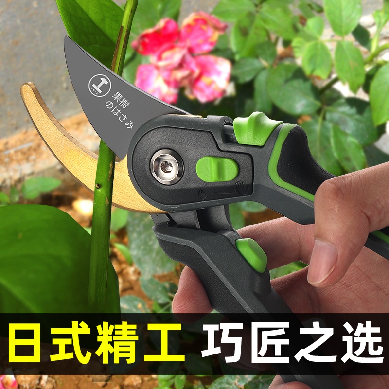 Cutting scissors, fruit trees, gardening scissors, pruning shears, flower scissors, garden-specific flower pruning branches