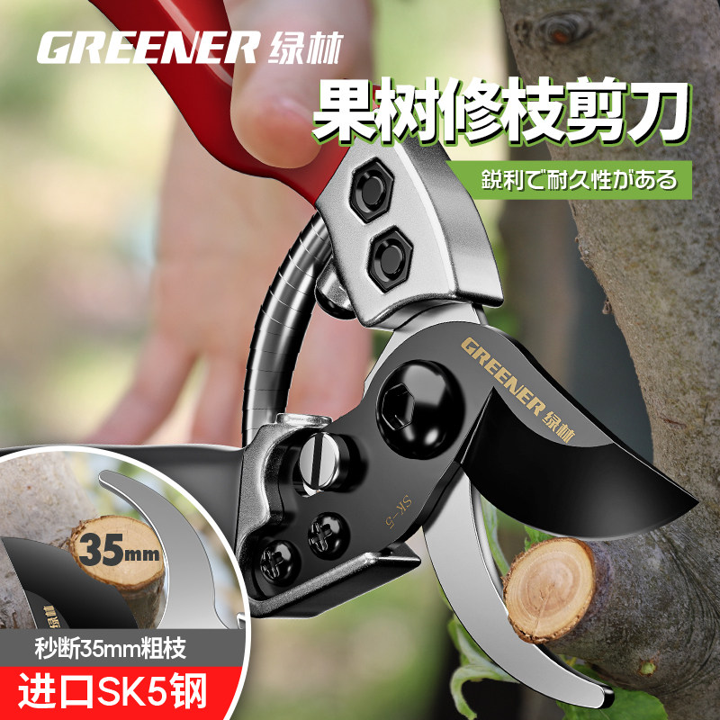 绿林日本进口SK5钢修枝剪果树剪园艺剪树枝专用剪刀修花剪园林剪