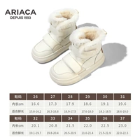 ARB42230CL23 бежевый