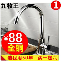 All copper kitchen hot and cold faucet wash basin dishwashing sink sink washbasin rotatable home