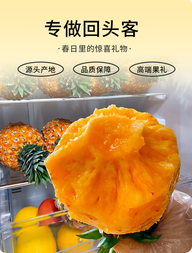 O1CN019rSAcR1Xuiu9vypxC_!!2926862984.jpg
