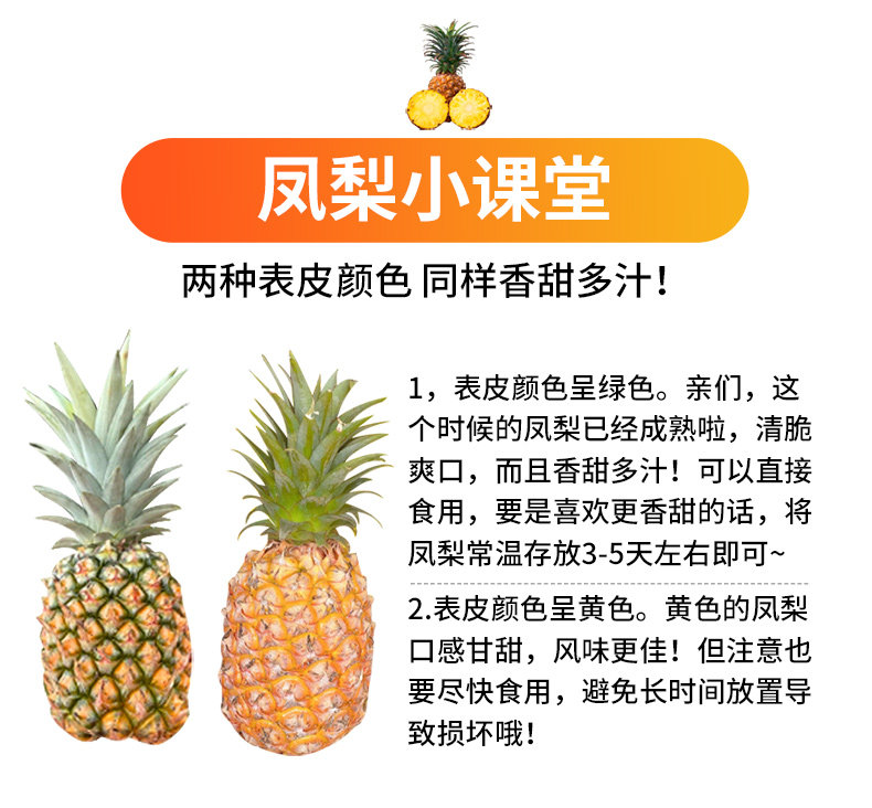 O1CN01Ezjq1S1Xuiz65cdDv_!!2926862984.jpg