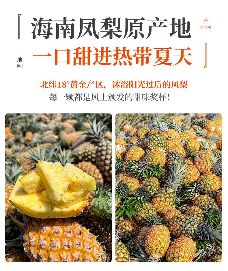 O1CN01G9zp811Xuiz6oeeV8_!!2926862984.jpg