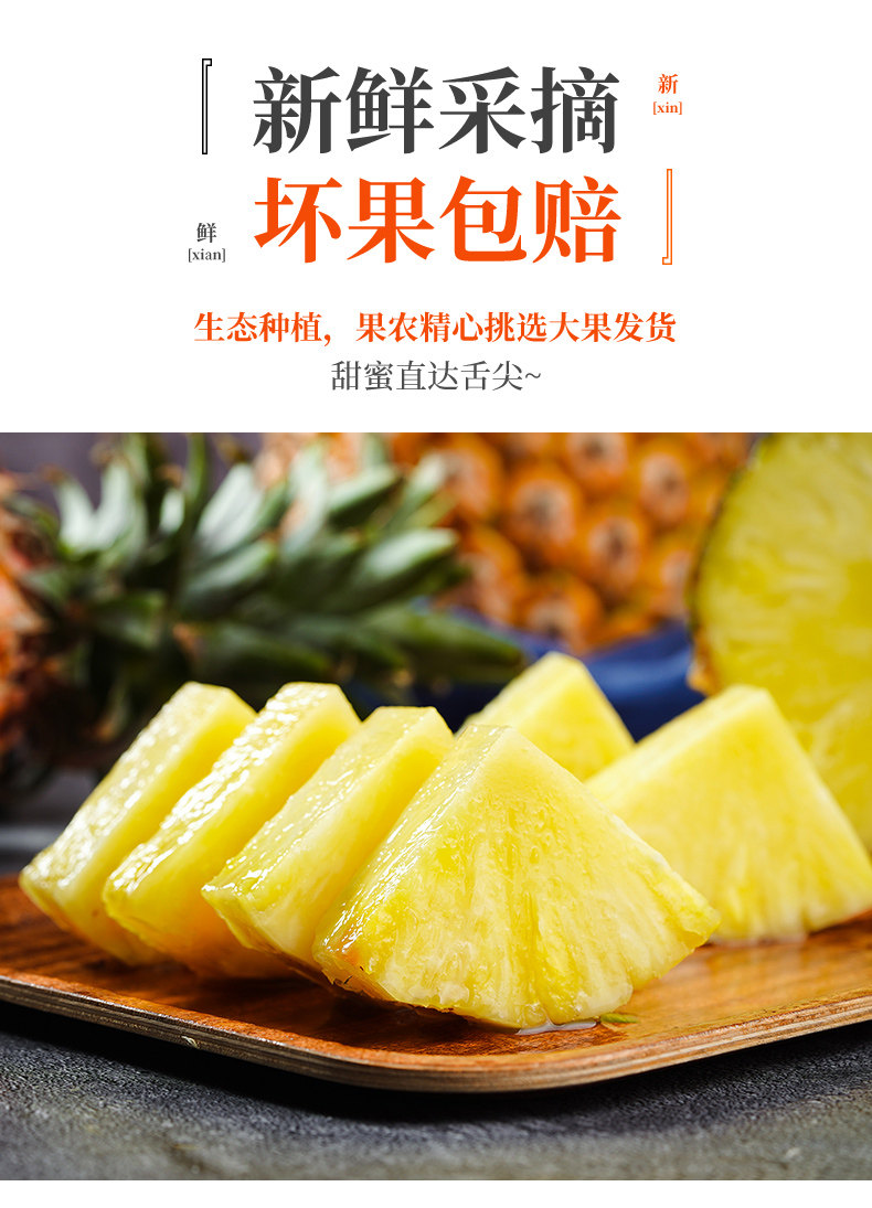 O1CN01GOS9PT1Xuiz1kLaVp_!!2926862984.jpg
