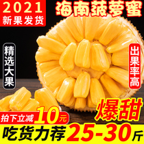Hainan yellow meat jackfruit specialty seasonal fresh tropical fruit 40kg a whole jackfruit wood pineapple dense red