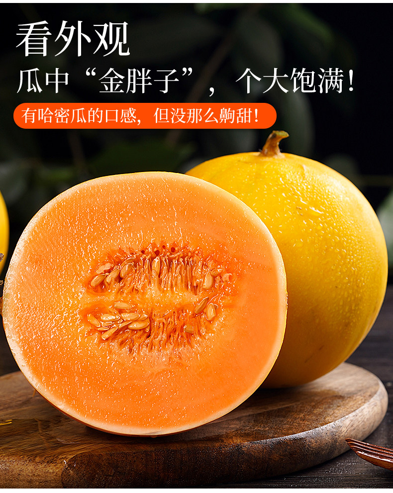 O1CN01WMrVSK1XuioizUEpO_!!2926862984.jpg