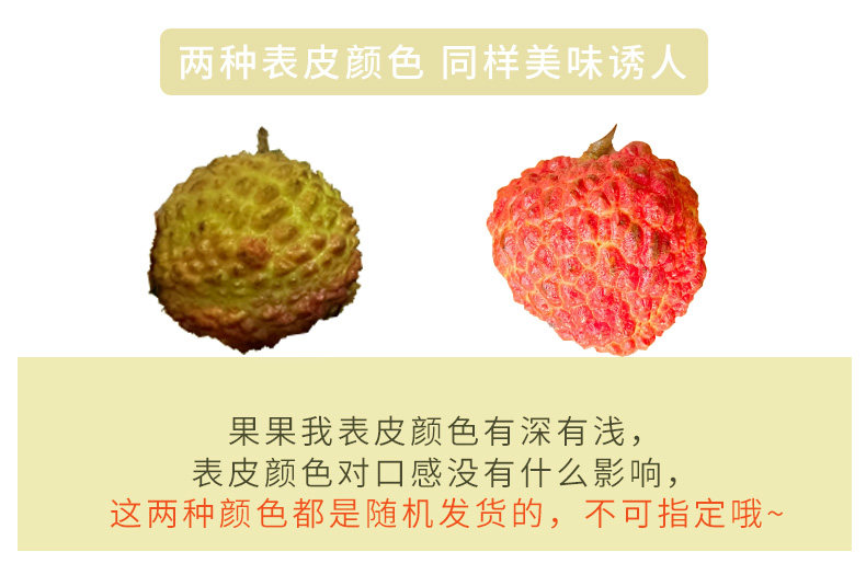O1CN01p6phnB1XuivUWS9ne_!!2926862984.jpg