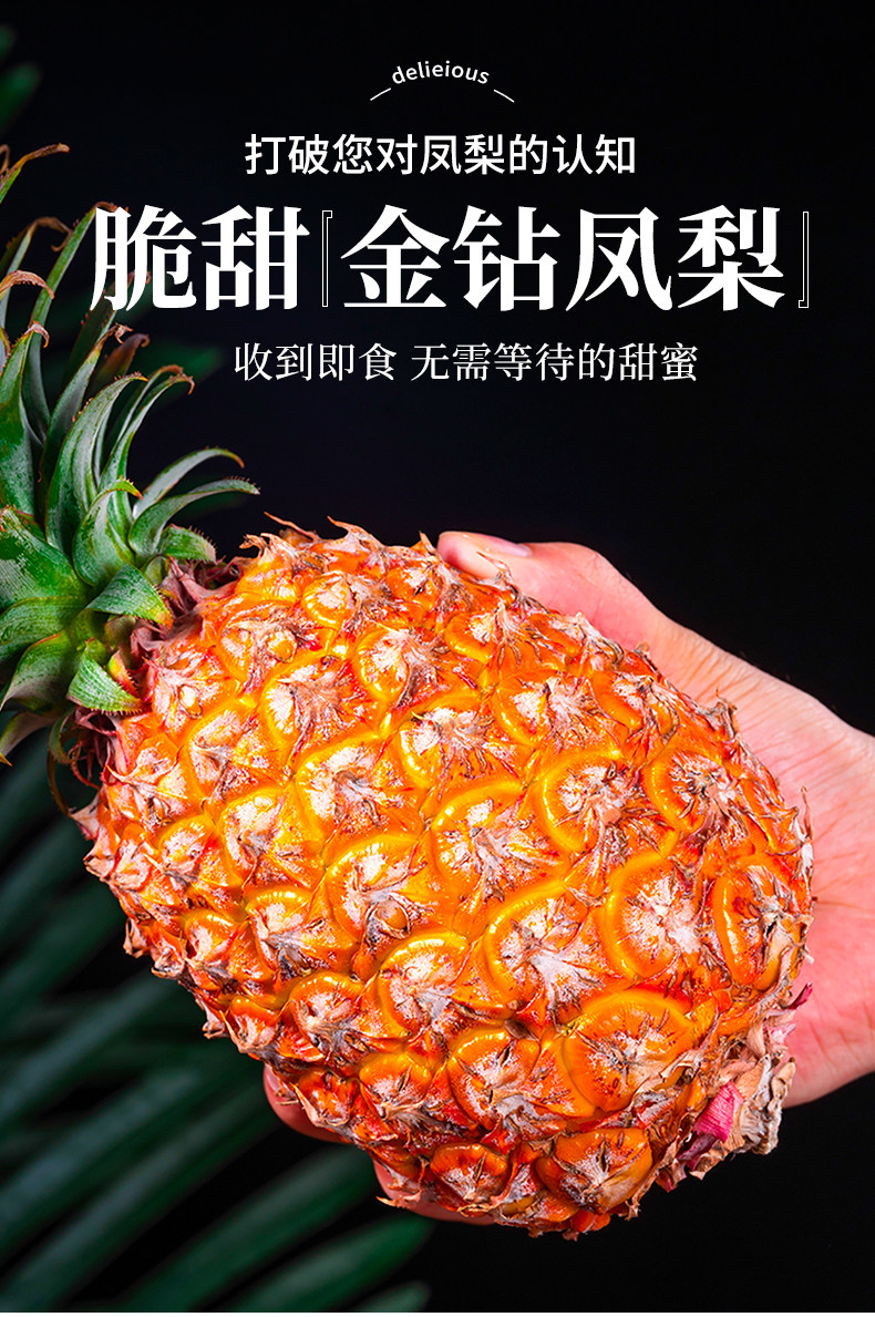 O1CN01y3VvfN1Xuiz1kN3uV_!!2926862984.jpg