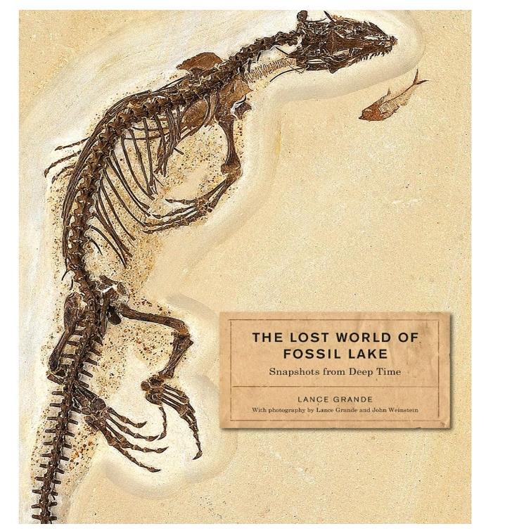 The Original English Version of the Lost World of Fossil Lake: Snapshots from Deep Time: the Lost World of Fossil Lake: Snapshots from Deep Time The Original English Version of the Lost World of Fossil Lake: Snapshots from Deep Time: the Lost World of Fossil Lake: Snapshots from Deep Time