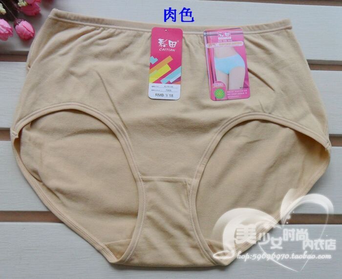 Slip en coton - Ref 642992 Image 10