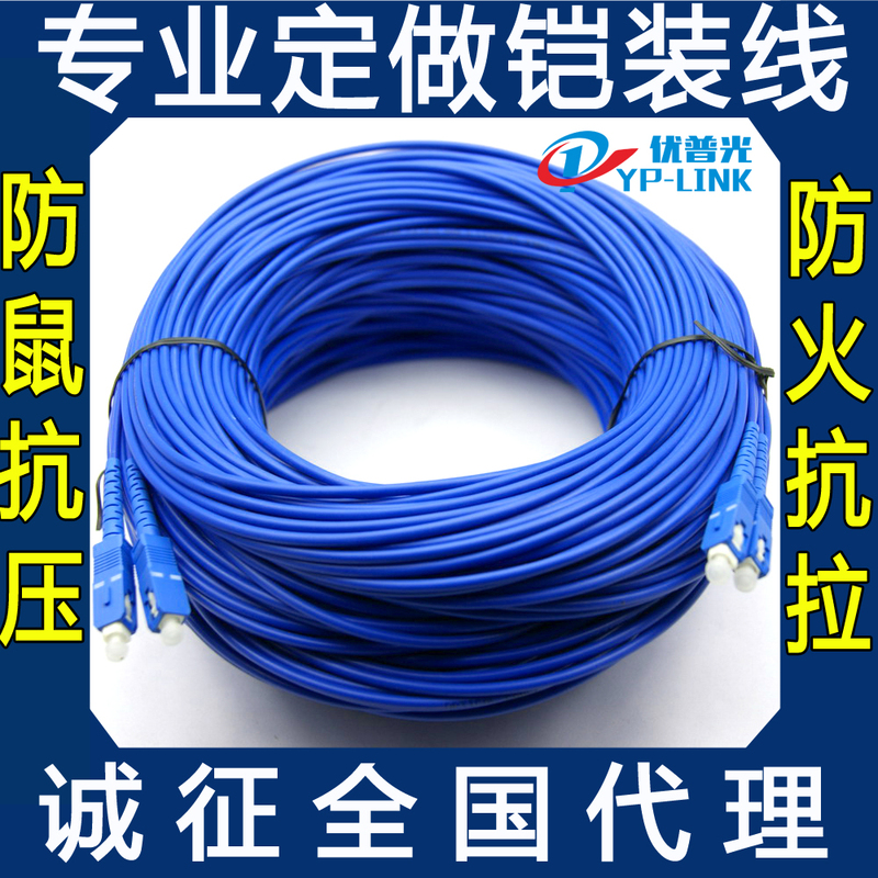 Single-Mode Armored Fiber Optic Patch Cord Fc-Lc-Sc-St 10g 50.15m 20.3m Rodent-Proof Multi-Mode Pigtail
