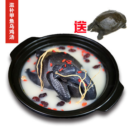 送甲鱼一只！禾田下 五黑母鸡1000g