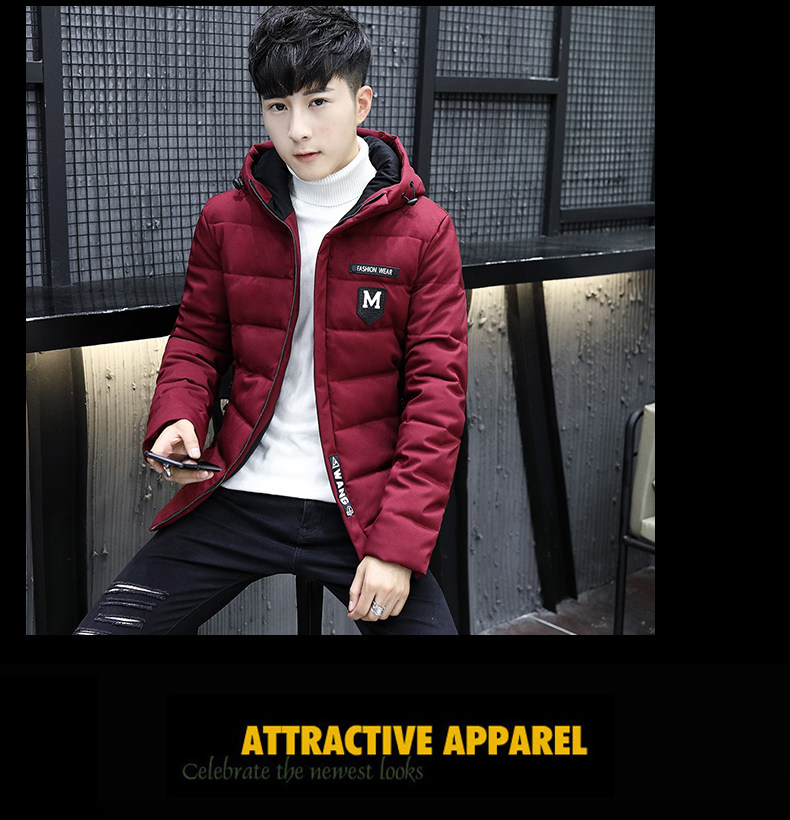 Blouson chaud pour homme en Polyester - Ref 3113117 Image 36