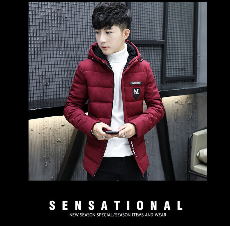 Blouson chaud pour homme en Polyester - Ref 3113117 Image 35