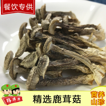 Deer velvet mushroom dried goods 250g fresh mushroom fungus deer velvet mushroom dried shiitake mushrooms soup ingredients
