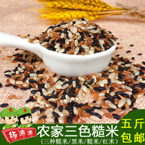 Farmhouse three-color brown rice new rice 500g self-planted black rice coarse grain red brown rice coarse rice germ rice germ Rice