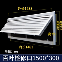 Bloss -Leaf Inspection Port 1500x300