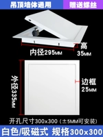 Белый/магнитное отверстие 300x300