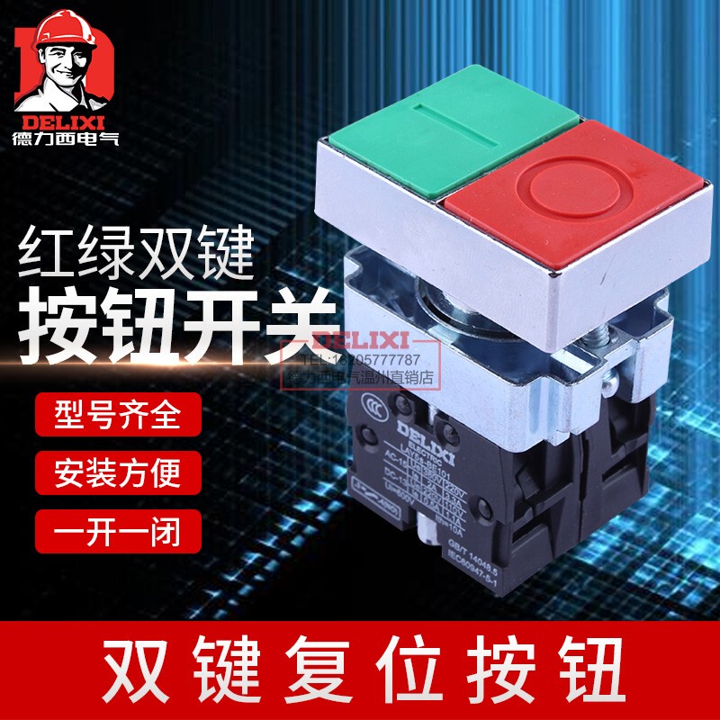 Delixi Double Flat Head Button Switch Lay5S-Bl8 Self-Reset Double-Head Double-Position Button Red Green 22mm