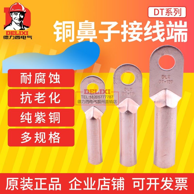 Delixi copper wire nose DT-25 35 50 70 95 square copper wire ear terminal cable connector