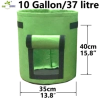 Трава зеленый большой [35*40]