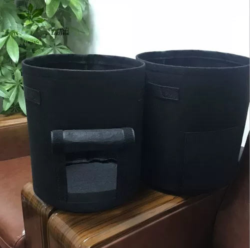 Сладкий картофельный картофель для посадки пакета