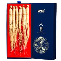 Banshan Nongbei Changbai Mountain ginseng and non-wild ginseng dry goods are used as special medicinal materials for soaking wolfberry in wine and making soup.