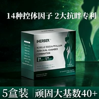 ⭐⭐⭐【Обновленная модель 5 коробок】Упрямо большая база 40+