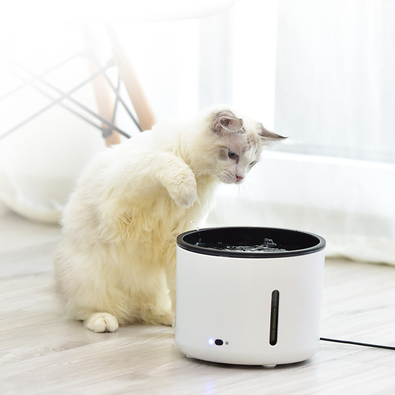 Mash Egg Ghost Pet Smart Induction Drinking Fountain Kitty Automatic Cycle Water Dispenser Live Water Pooch Supplies Water Feeder