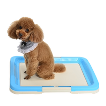 Trick-or-Treat Dog Toilet Dog Urinals Essential Dog Potties for Dogs Small and Medium-sized Dog Toilet Fixed Urinal Mat Supplies
