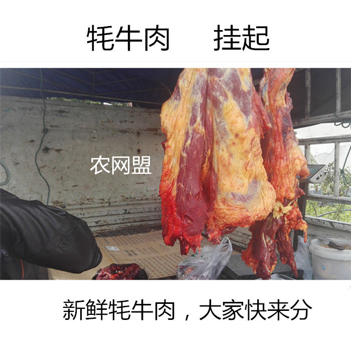 5 Jin Farming Network Sichuan Aba State Scattered Fresh Yak Beef parts Optional Default Yak Leg Lean Meat