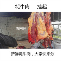 5 kg agricultural network alliance Sichuan Aba free-range fresh yak meat parts optional default yak leg lean meat