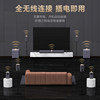 Wanyin A10Pro Home Karaoke System with Integrated Microphone and Speaker for Singing and Karaoke