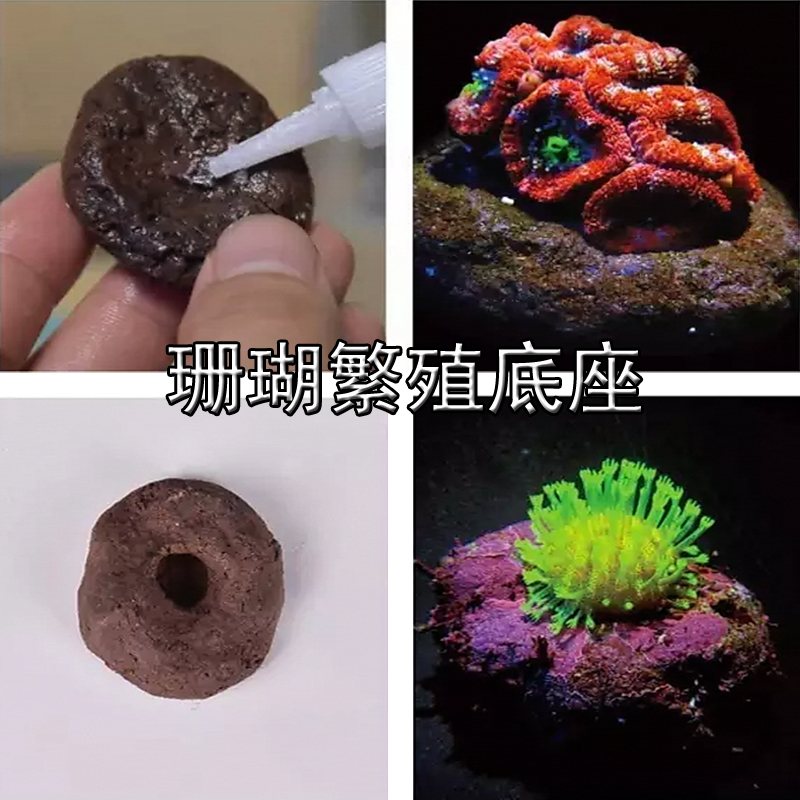 Tansen aquarium coral breeding base SPS broken branch leather base Cornerstone Seawater coral cultivation base