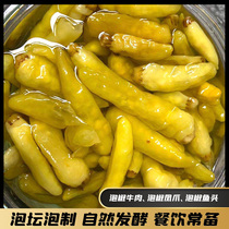 Guizhou specialty pickled pepper millet spicy millet millet pepper wild mountain pepper old altar pickled kimchi pepper chicken seasoning bag
