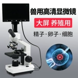 Научный тест гематопоэтического тестирования домашнего скота и аквакультуры животноводства размножения водных продуктов