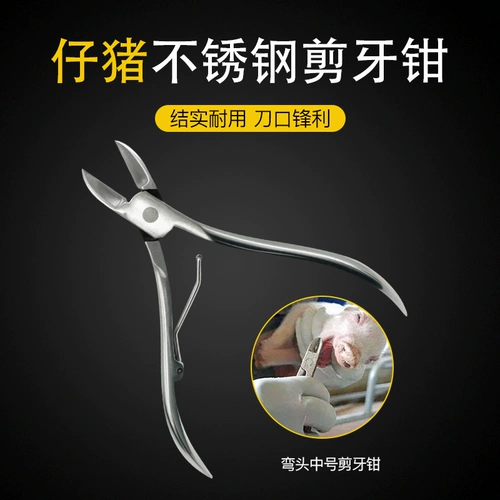 Стоматологические зажимы свиней с локтевом из нержавеющей стали. Плозочки Стильщики Средне